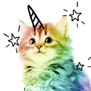 Meet your Posher, Marisabel